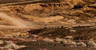 FIFA电竞战术体系变化分析